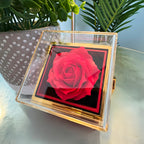Badass Crown - Daughter Birthday Necklace with Rose Box