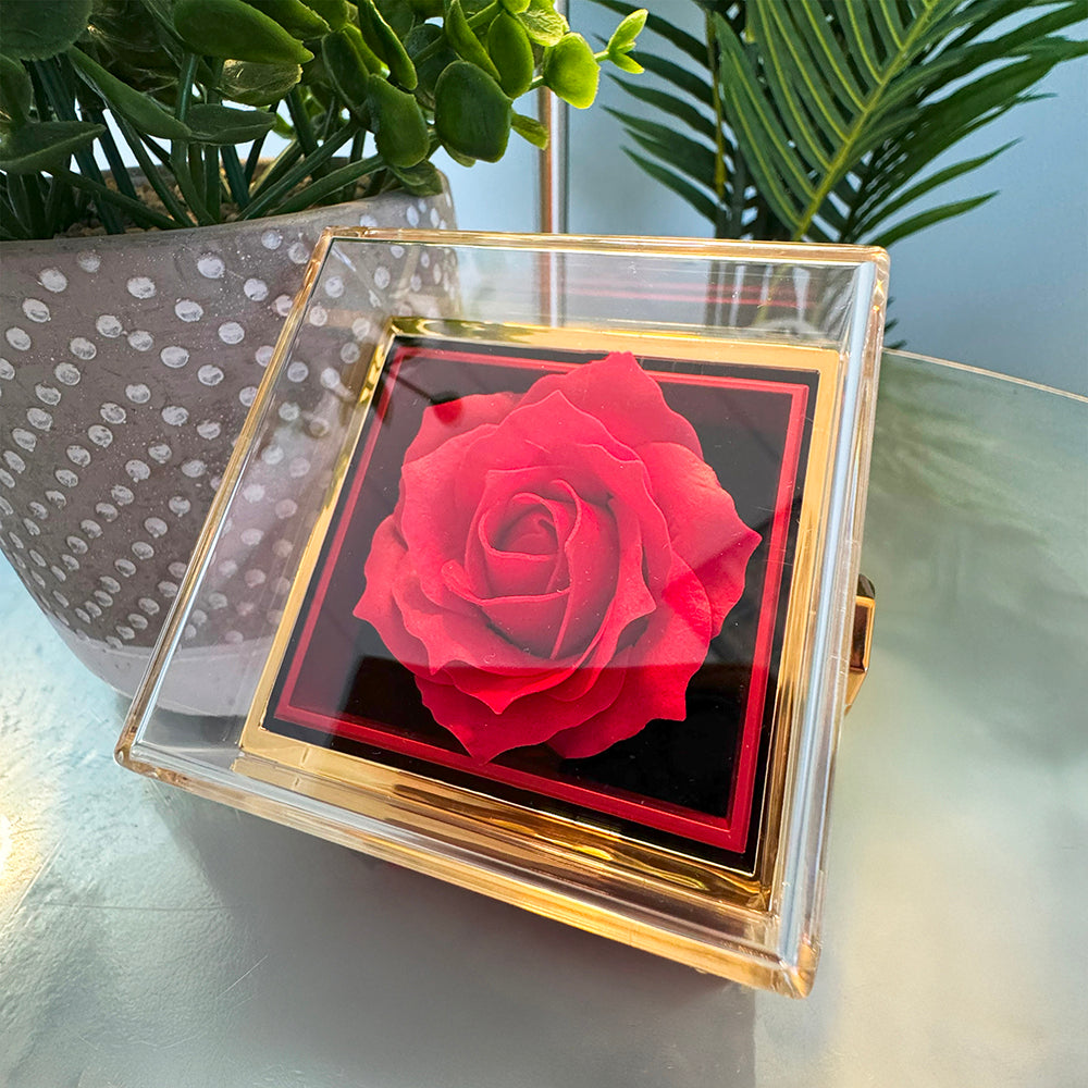 Breathing Interlocking - Daughter Birthday Necklace with Rose Box